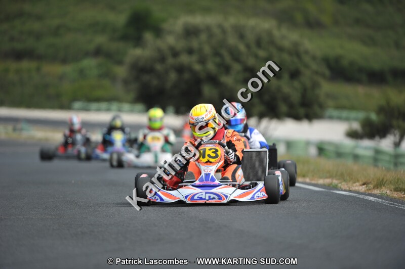 DSC (3480).JPG